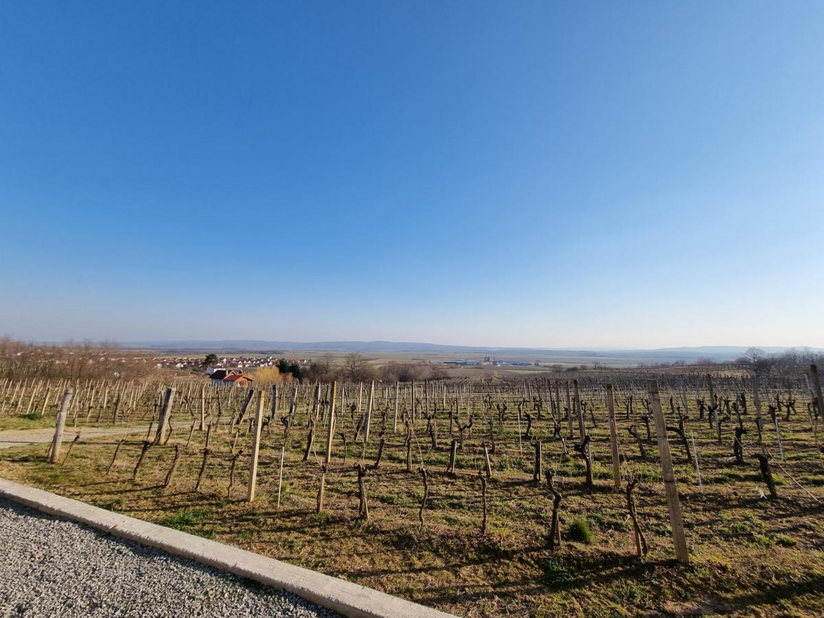 Villa Kuca Za Odmor Baron Kutjevo Esterno foto