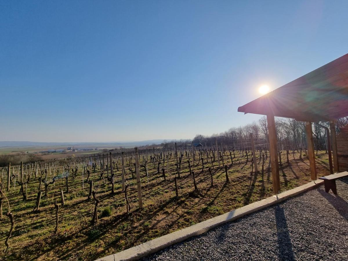 Villa Kuca Za Odmor Baron Kutjevo Esterno foto