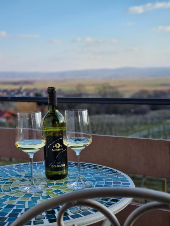 Villa Kuca Za Odmor Baron Kutjevo Esterno foto
