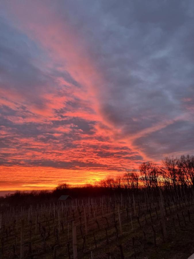 Villa Kuca Za Odmor Baron Kutjevo Esterno foto