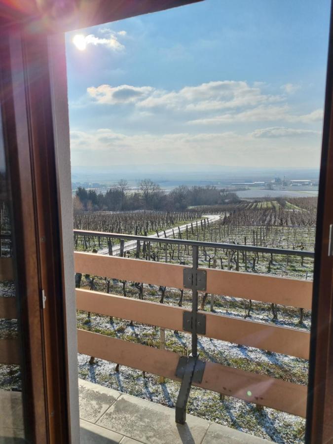 Villa Kuca Za Odmor Baron Kutjevo Esterno foto