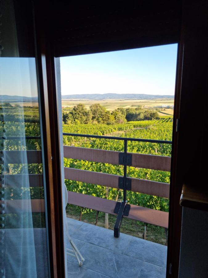 Villa Kuca Za Odmor Baron Kutjevo Esterno foto