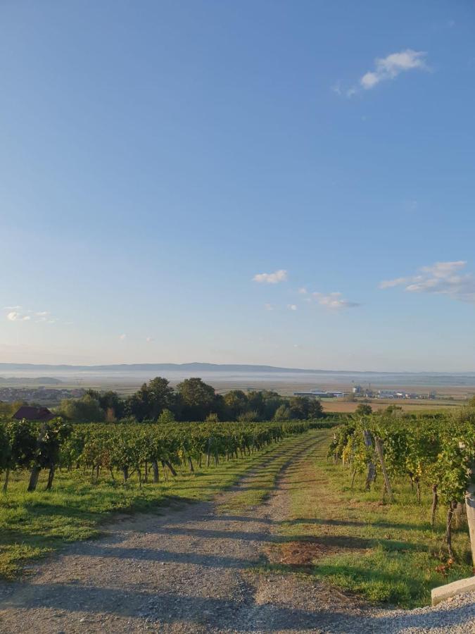 Villa Kuca Za Odmor Baron Kutjevo Esterno foto