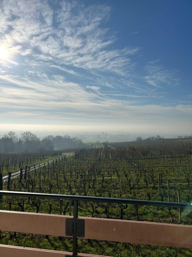 Villa Kuca Za Odmor Baron Kutjevo Esterno foto